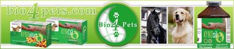 Kynosil Kyno3 & Kynovita+ supplements for mobility, beautiful coat & vitality of your pet.